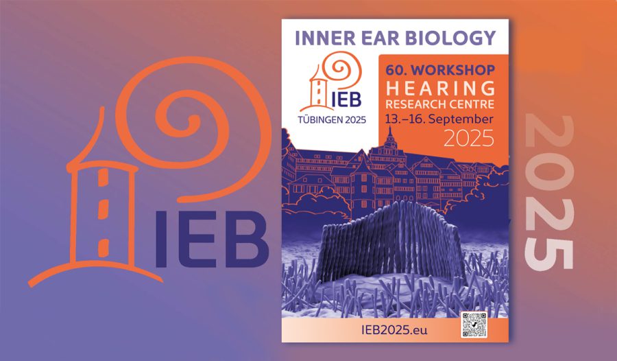 ieb